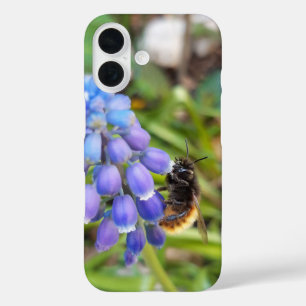 Funda iPhone 16 Abeja en Muscari Armeniacum , Hiacinato de uva