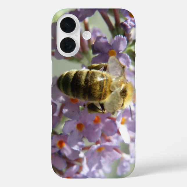 Funda iPhone 16 Abeja melífera y flores de Buddleia (Reverso )