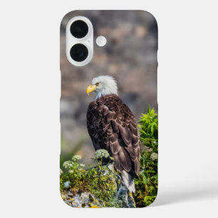Funda iPhone 16 Águila calva sentada en la roca