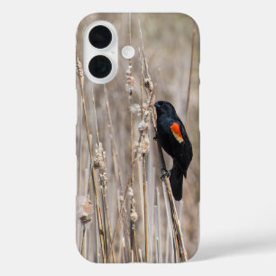 Funda iPhone 16 Ajetura