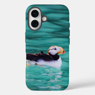 Funda iPhone 16 Aluminio En La Bahía Resurrección, Alaska
