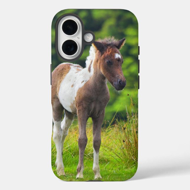 Funda iPhone 16 Amante Dartmoor Pony Foal (Reverso )