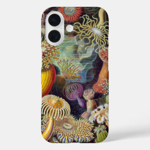 Funda iPhone 16 Anémonas marinas antiguas, Actiniae por Ernst Haec