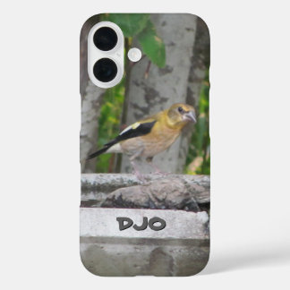 Funda iPhone 16 Angry Looking Bird with Your Inicials