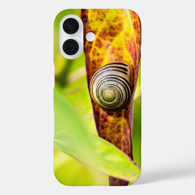 Funda iPhone 16 apego (Reverso )