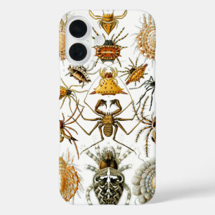 Funda iPhone 16 Aracnidos del ilustracion vintage Ernest Haeckel