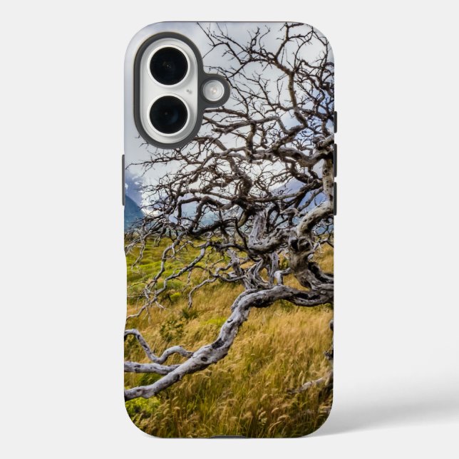 Funda iPhone 16 Árbol quemado, Torres del Paine, Chile (Reverso )