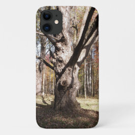 Funda iPhone 16 Árbol raro