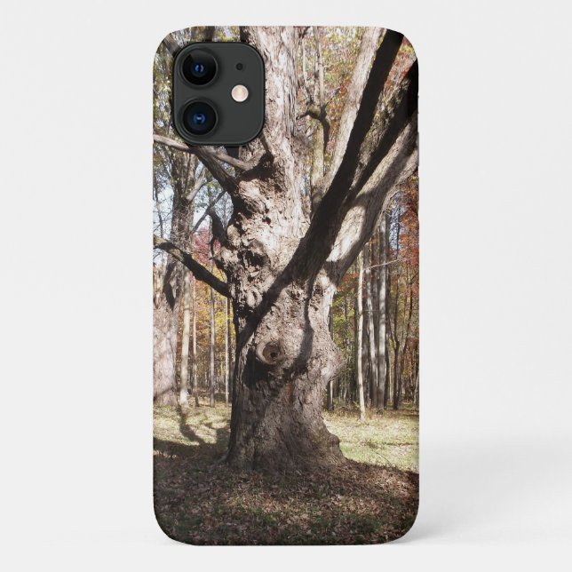 Funda iPhone 16 Árbol raro (Reverso)