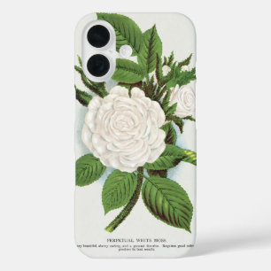 Funda iPhone 16 Arte Botánico Cottagecore de Rosa Musgo Blanca Vin