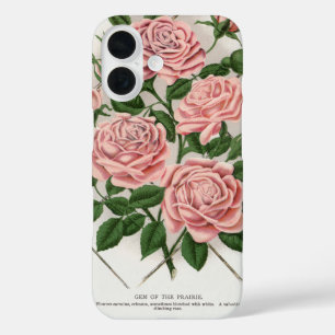 Funda iPhone 16 Arte Botánico Cottagecore de Rosa Rosa Antigua