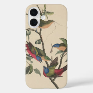 Funda iPhone 16 Arte de ave colorido Pintor Variado Audubon Vintag