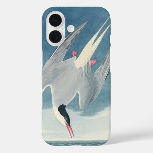 Funda iPhone 16 Arte de ave costera charrán ártico vintage de Audu