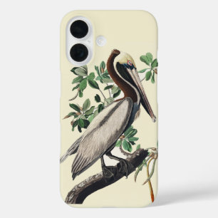 Funda iPhone 16 Arte de ave costera pelícano pardo vintage de Audu