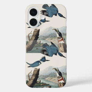 Funda iPhone 16 Arte de ave Martín pescador cinturado vintage de A
