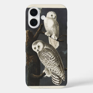 Funda iPhone 16 Arte de ave nocturna de búho nevado Audubon vintag