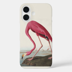 Funda iPhone 16 Arte de ave rosa flamenco americano vintage de Aud