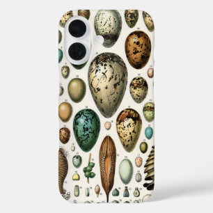 Funda iPhone 16 Arte de huevo de ave de Adolphe Millot Dark Academ