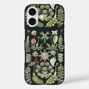 Funda iPhone 16 Arte de la Naturaleza Científica Ernst Haeckel Hep