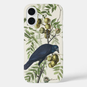 Funda iPhone 16 Arte de la naturaleza del cuervo americano Audubon