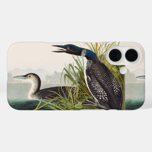 Funda iPhone 16 Arte de la Naturaleza del Loon Común Vintage Audub