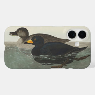 Funda iPhone 16 Arte de pato americano de Audubon vintage