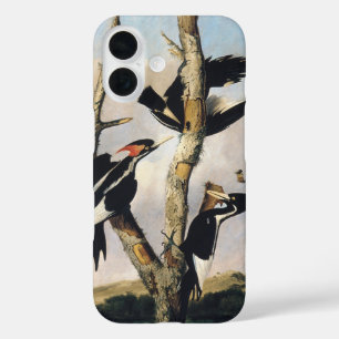 Funda iPhone 16 Arte vintage de Carpintero de Pico de Marfil de Au