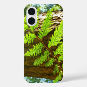 Funda iPhone 16 Aspectos destacados de un árbol botánico de secuoy