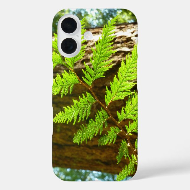 Funda iPhone 16 Aspectos destacados de un árbol botánico de secuoy (Reverso )