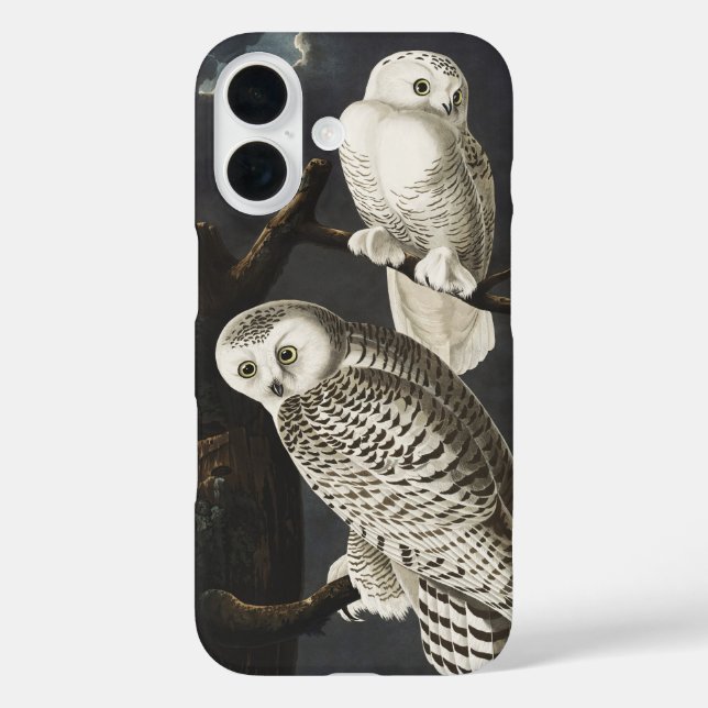 Funda iPhone 16 Audubon Snowy Owl Bird Artwork (Reverso )
