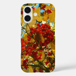 Funda iPhone 16 Autumn Red Berry naranja Tree Crown Photo -