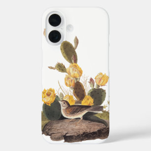 Funda iPhone 16 Ave Audubon Audubon