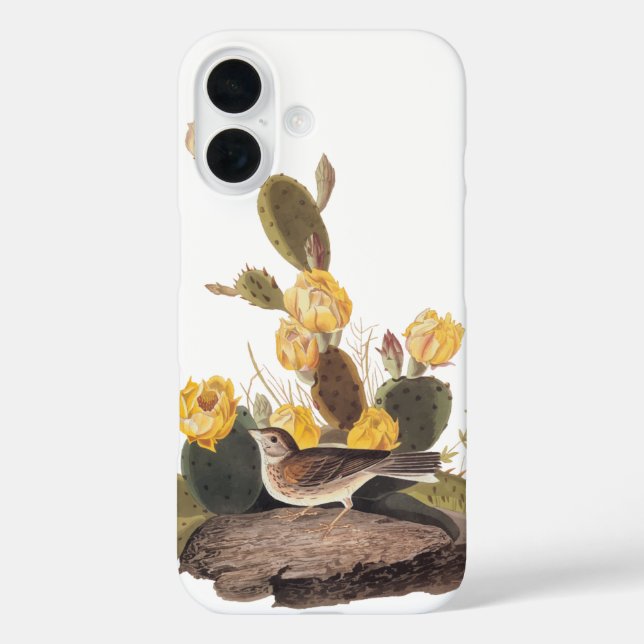 Funda iPhone 16 Ave Audubon Audubon (Reverso )