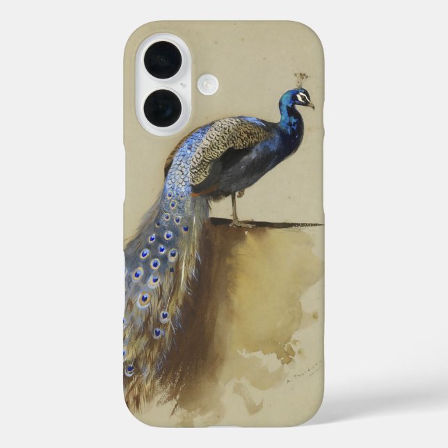 Funda iPhone 16 Azul pavo real | Archibald Thorburn (Reverso )