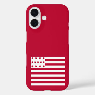 Funda iPhone 16 Bandera de Brandywine