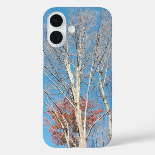 Funda iPhone 16 Barren Trees