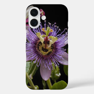 Funda iPhone 16 Belleza Enigmática: la Flor de la Pasión Púrpura