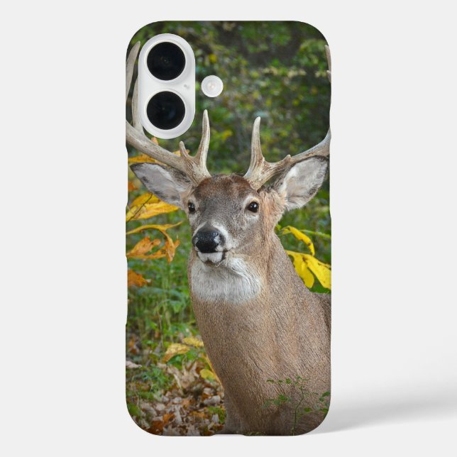 Funda iPhone 16 Big Buck En Woods (Reverso )