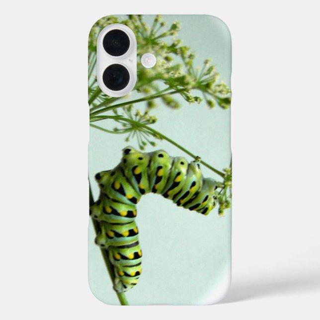 Funda iPhone 16 Black Swallowtail Caterpillar come parsley Funda- (Reverso )