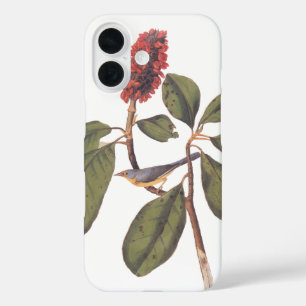 Funda iPhone 16 Bonaparte Flycatcher Canada Warbler Audubon Bird