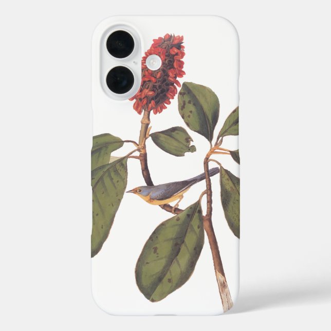Funda iPhone 16 Bonaparte Flycatcher Canada Warbler Audubon Bird (Reverso )