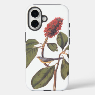 Funda iPhone 16 Bonaparte Flycatcher Canada Warbler Audubon Bird