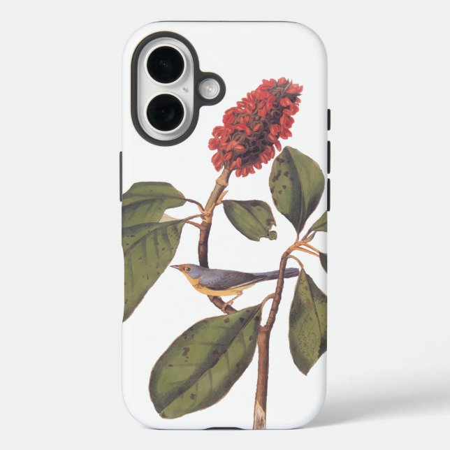 Funda iPhone 16 Bonaparte Flycatcher Canada Warbler Audubon Bird (Reverso )
