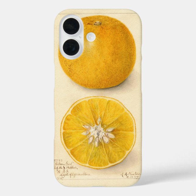 Funda iPhone 16 Bonita obra de arte Naranja (Reverso )