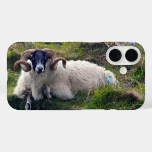 Funda iPhone 16 Bonito Ram Horneado de Ram en Bluebells