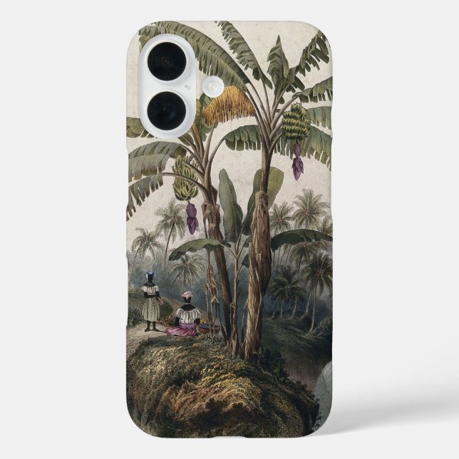 Funda iPhone 16 Bosque de árboles plásticos tropicales antiguos |  (Reverso )