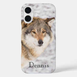 Funda iPhone 16 Bosque de invierno de Wolf