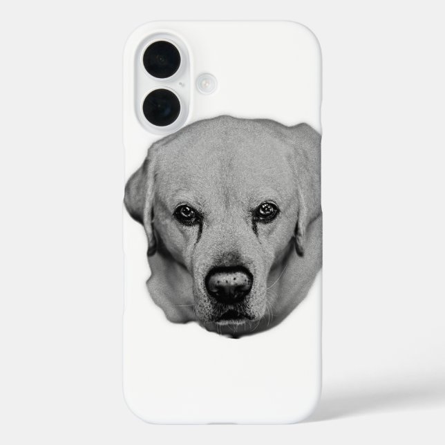 Funda iPhone 16 Búsqueda de bolsillo (Reverso )