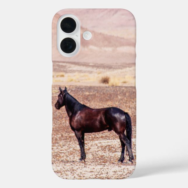Funda iPhone 16 Caballo desierto P8664 (Reverso )
