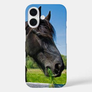 Funda iPhone 16 Caballo frisón negro